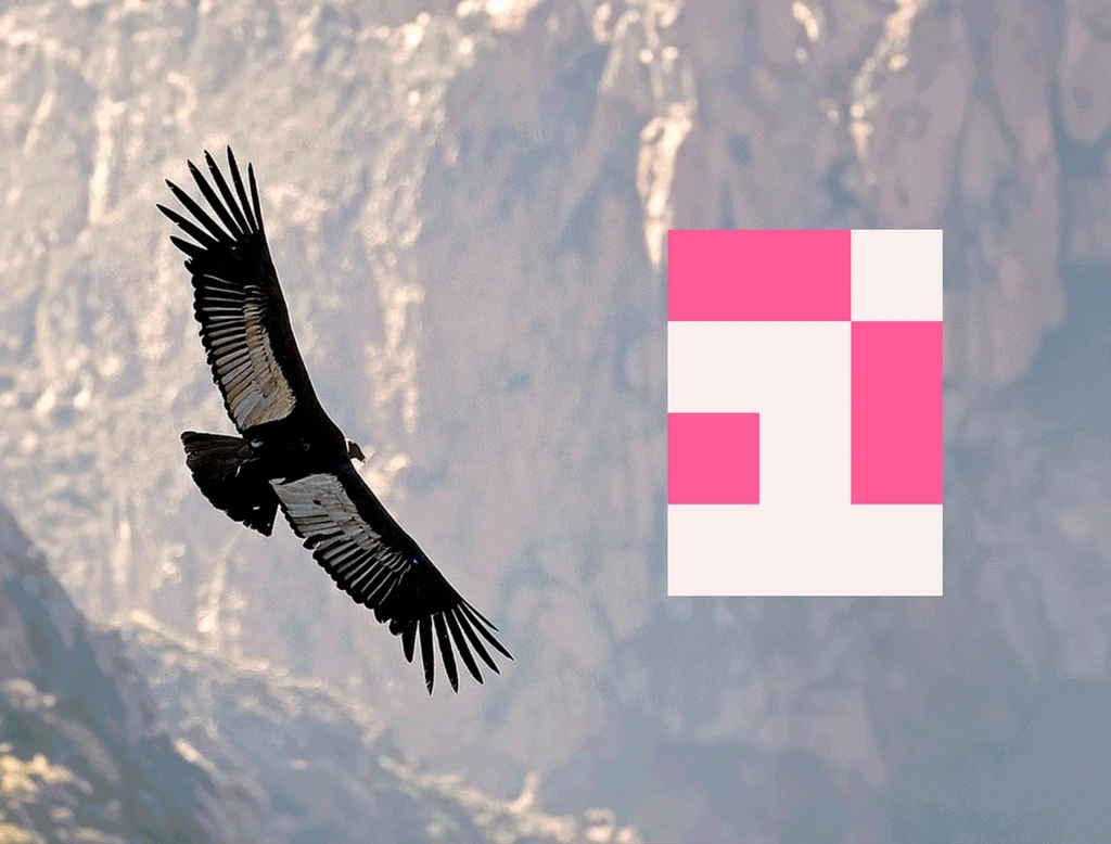 The Best Design Studio in Peru